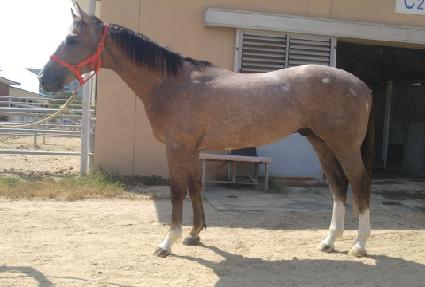 ������è�� ����