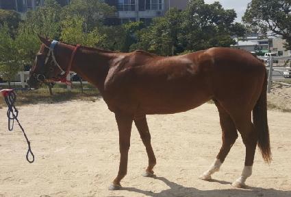 �Ϸ���ȭ ����