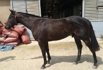 ������ ����