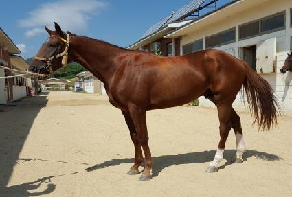 ���ǵ帶ũ ����