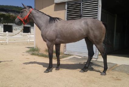 �����¸� ����