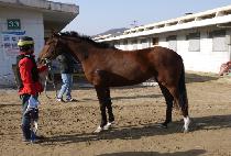 �Ʊ״Ͻ� (AGNIS) ����