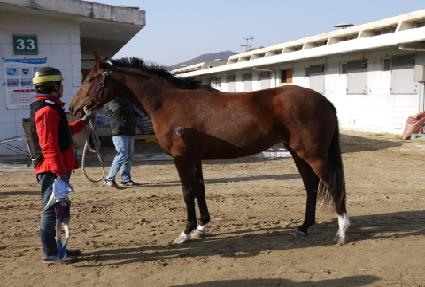 �Ʊ״Ͻ� ����