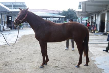 ��ǥ�� ����