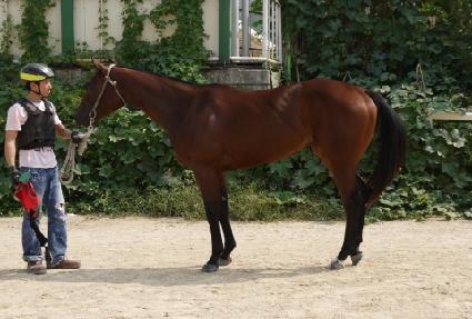 ���̰Ż轺 ����