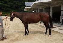 ���ҽ��̹��� (FACTUM��S IMAGE) ����