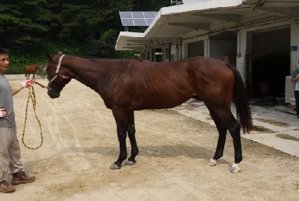 ���ҽ��̹��� ����