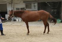 ��Ÿ�� (STAR ROCK) ����