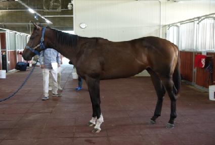 ������Ÿ ����