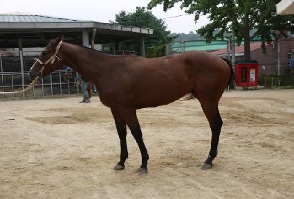 �ʸ����� ����