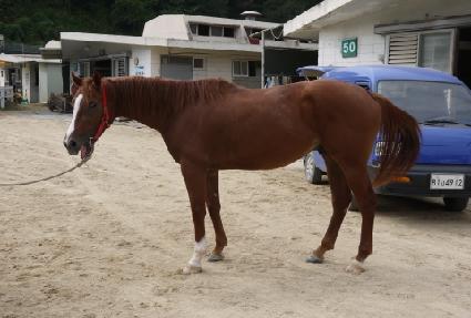 �ǹ����� ����