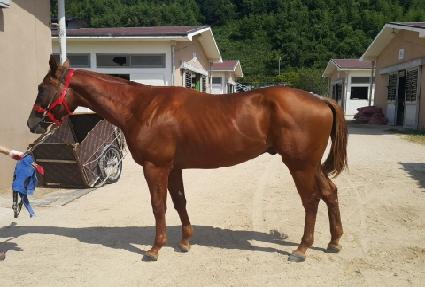 �۷ι����� ����