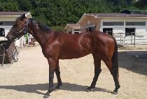 ����ѹ��� (WORLD NUMBER ONE) ����