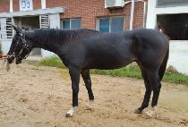 ��ũ��ũ��Ʈ (TECHNOCRAT) ����