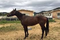 �κ���Ʈ��Ʈ���� (INVESTMENT PIONEER) ����