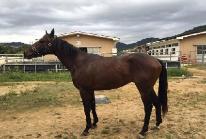 �κ���Ʈ��Ʈ���� ����