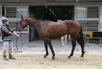 ��ġ��ġ (ARCH ARCH) ����