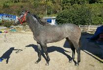 ������ź�� (YEOWANGUI TANSAENG) ����