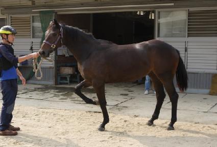 ����Ʈ���� ����