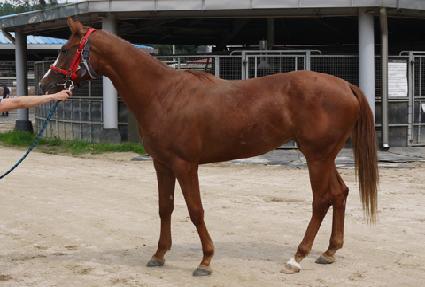 �����ǵ帲 ����