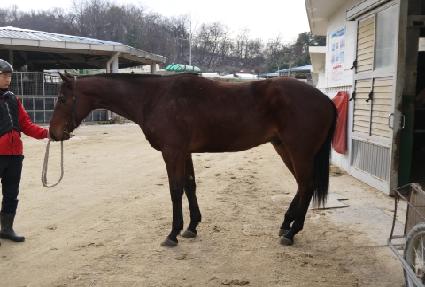 ũ����Ű�� ����