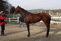 ������Ʈ (ONE GATE) ����