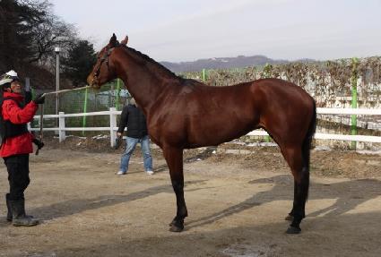 ������Ʈ ����