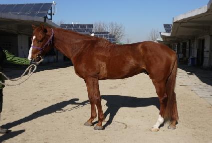 �տ��� ����