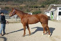 ��Ű���� (LUCKY NINE) ����