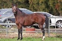 MISCHIEVIOUSLY picture