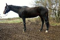 MORNING CALM picture