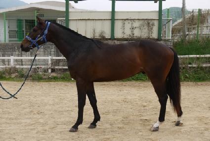 ��꺣� ����