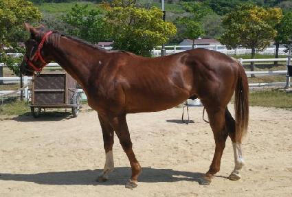 ���Ͽ��긶�� ����