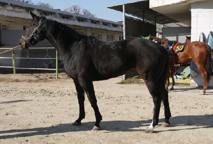 ���ȷ�ġ���� ����