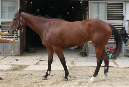 �ݼ����� ����