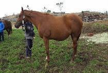 ���������� (READY TO LOVE) ����