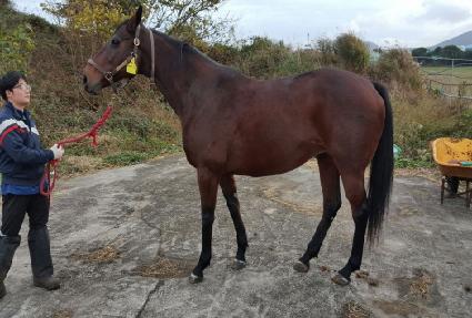 ����Ʈ���ε� ����