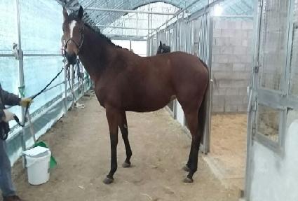 ���𳪿� ����