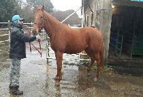 SWORN STATEMENT picture