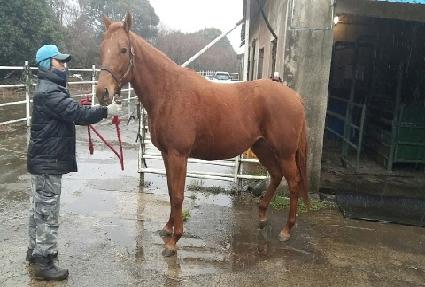 ����������Ʈ��Ʈ ����