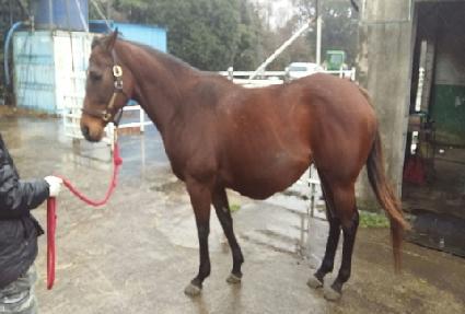 ���� ����