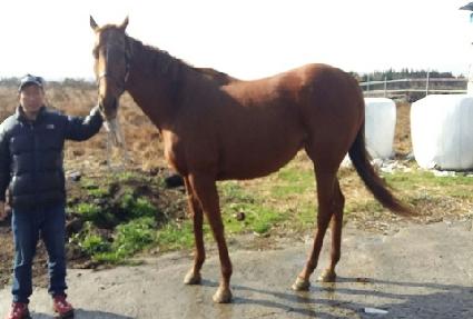 ���̵����Ʈ���� ����