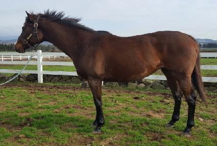 �������� ����