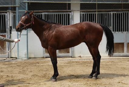 �����Ƽ� ����