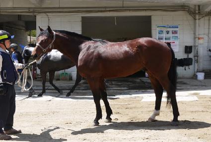 ����è�� ����