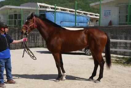 ���彺Ÿũ ����