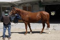 ������ƼĮ (STORM SABBATICAL) ����