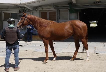 ������ƼĮ ����