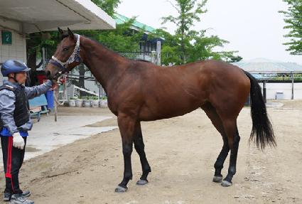 ���ο�̼� ����