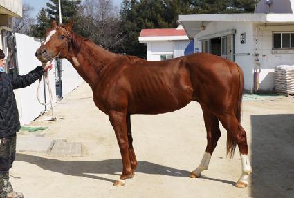 �Ƹ𸣰��� ����